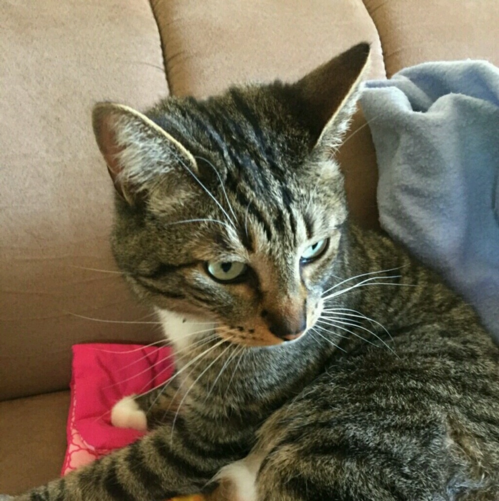 Meet your Posher, Jannet